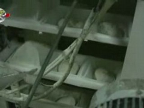 El panadero de Urrea de Jalón