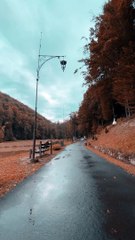 pexels-руслан-хмелевский-5481350.mp4