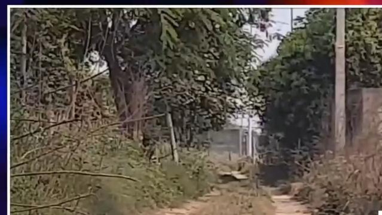 गौतमबुद्धनगर: दनकौर स्टेशन के पास तेंदुए की आहट से लोगों में दहशत, वीडियो किया वायरल