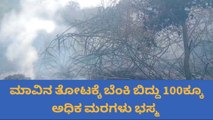 ಕೋಲಾರ: 100 ಕ್ಕೂ ಮಾವಿನ ಮರ ಬೆಂಕಿಗಾವುತಿ