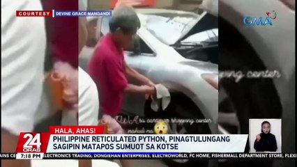 Philippine reticulated python,pinagtulungang sagipin matapos sumuot sa kotse| 24 Oras