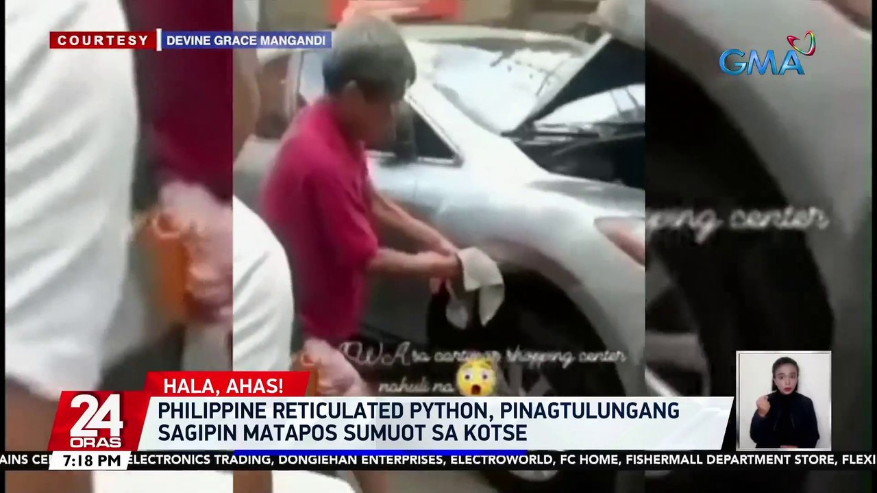 Philippine reticulated python,pinagtulungang sagipin matapos sumuot sa kotse| 24 Oras