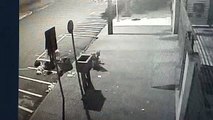 Catador de recicláveis recolhe lixo esparramado por cachorro na madrugada