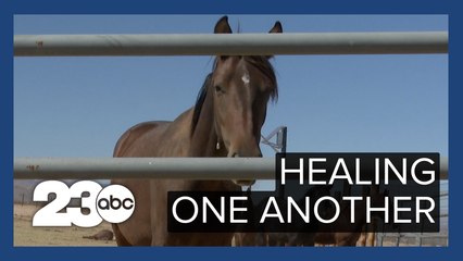 Organizations support Veterans for Mustangs Act