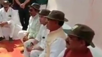 प्रदेश स्पेशल: बाघों की दहाड़ के साथ मनाई सिंधिया की जयंती