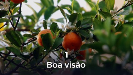 Previne a gripe e muito mais: consumir uma laranja por dia já faz diferença