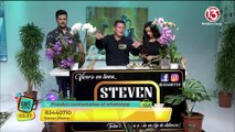 Viveros Steven Plants