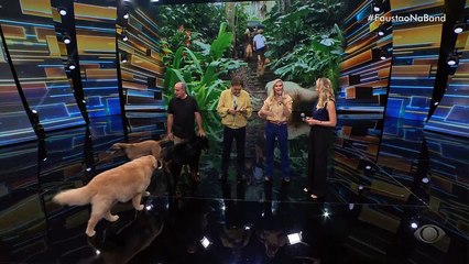 Adestrador mostra rotina de treinamento com cachorros e explica desafios 10/03/2023 11:55:40