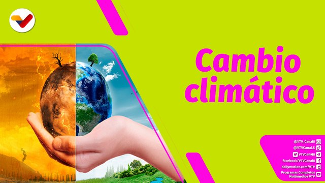 Buena Vibra | Planteles educativos y brigadas dan tips para la protección contra el cambio climático