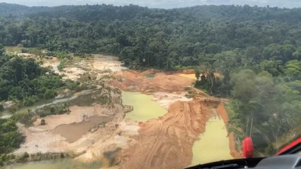 La deforestación de la Amazonía brasileña marca histórico en febrero