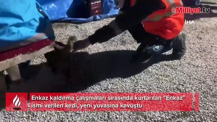 İtfaiye ekipleri kurtarmıştı, “Enkaz” yeni yuvasına kavuştu