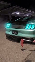 Ford Mustang gt engine power