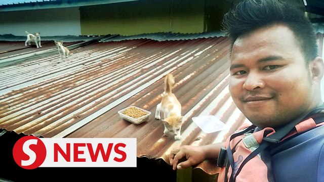 Family on a mission to save animals stranded in Johor floods