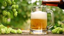 Scienza & Salute: 'A tutta birra... se sai cosa e quanto bevi'