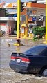 Niño ayuda a perrito a cruzar inundaciones en Piura