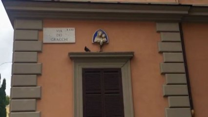 Per 8 marzo nascita sprint alla Santa Famiglia di Roma