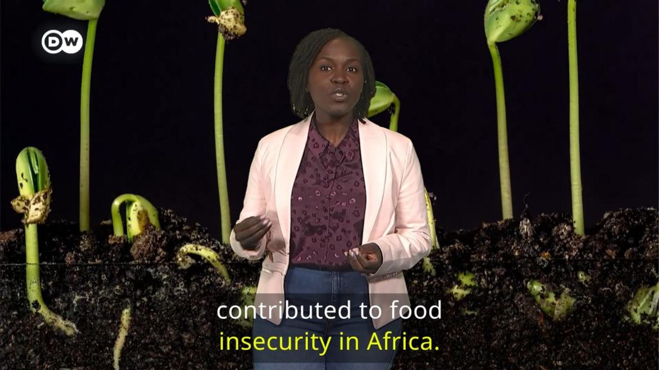 The Flip Side:  Punitive crop laws hurting famers in Africa
