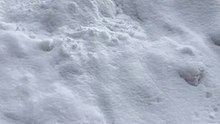 международный женский день