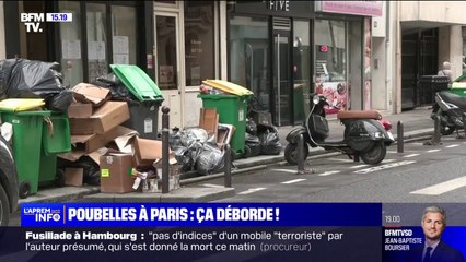 "Voir des poubelles à l'entrée d'un magasin d'alimentation, c'est pas beau à voir" raconte des commerçants exaspérés par la grève des éboueurs