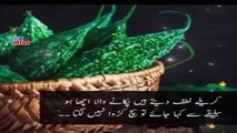 True Urdu lines| Islamic Urdu Quotes| Urdu Quotes