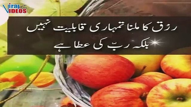 Islamic Qoutes| Islamic quotes about life| Urdu Quotes