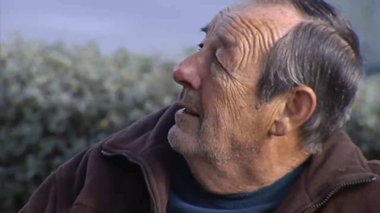 La universidad de Valencia calcula que 1 de cada 3 pensionistas se van a ver beneficiado con el nuevo acuerdo