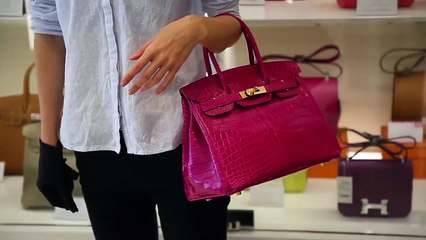 10 Most Expensive Handbags _ Luxotic Lifestyle