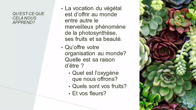 Webinaire Transition écologique, le végétal, levier de performance - MSA IDF