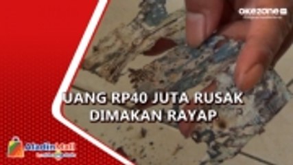 Uang Tabungan Buruh Pabrik Tahu Senilai Rp40 Juta Rusak Dimakan Rayap