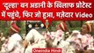 Congress Adani Protest: जब दूल्हा बनकर करने लगा प्रदर्शन, Watch मजेदार Video | वनइंडिया हिंदी