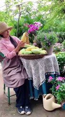 Enjoy beautiful nature with rural life