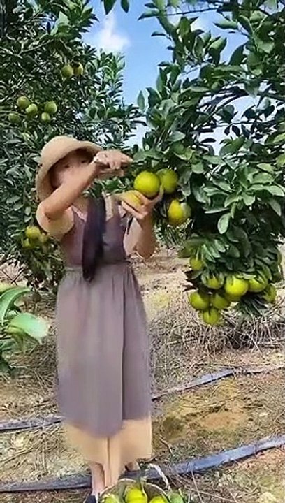 Enjoy beautiful nature with rural life