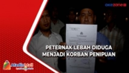 Puluhan Peternak Lebah Diduga Menjadi Korban Penipuan, Kerugian Capai Rp1 Triliun