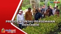 Dukung Reboisasi Hutan, Presiden Jokowi Tinjau Persemaian Modern Mentawir