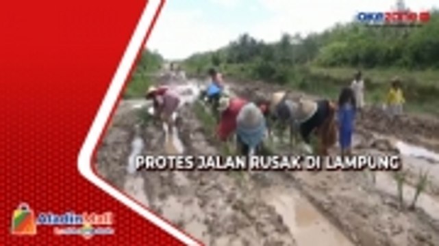 Protes Jalan Rusak, Emak-Emak di Lampung Tanam Padi di Tengah Jalan