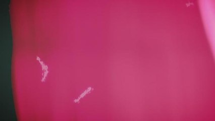 Rodgers and out? A-Rod and Packers head for divorce