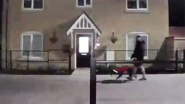 Doorbell camera catches man kicking dog in Suffolk