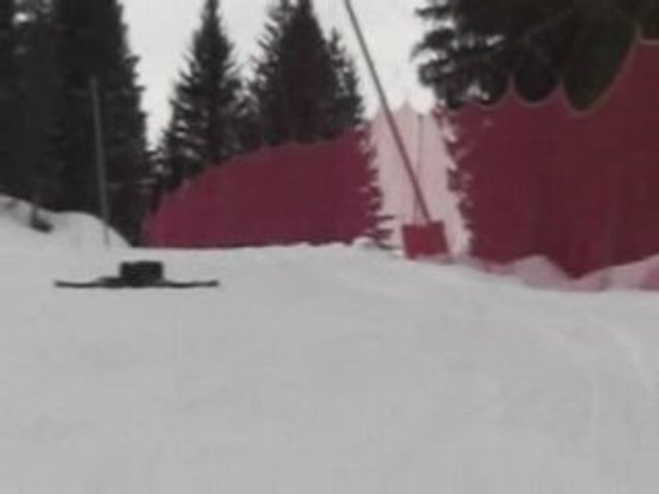 Ski N°1