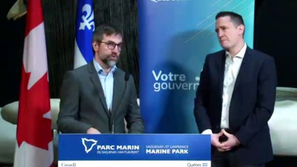 Saguenay-Saint-Laurent : un parc marin potentiellement quatre fois plus grand