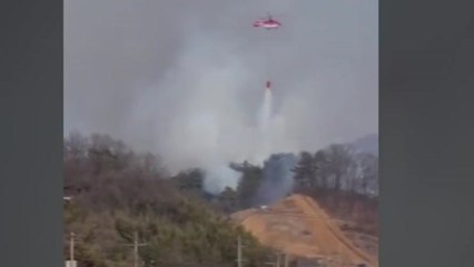 충남 예산군 응봉면 야산에 불...임야 만3천㎡ 태워 / YTN