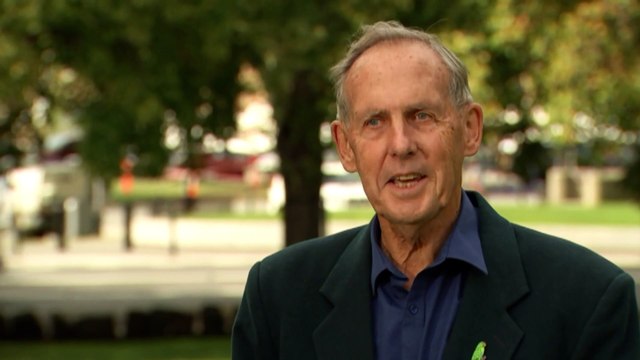 Environmental groups say krill super trawlers 'ploughing' through whale pods