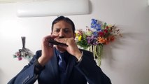 Sason Ko sason mein-by Alka Yagnik on Harmonica Live Performance by Mukund Kamdar