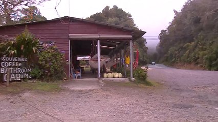 mqn-Vecinos del Parque Nacional los Quetzales le esperan con viveros, cafeterías, artesanías  y restaurantes-100323