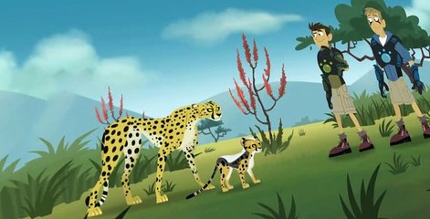 Wild Kratts S01 E25