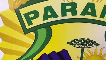 Fiesta carregado com contrabando é apreendido em Ampére