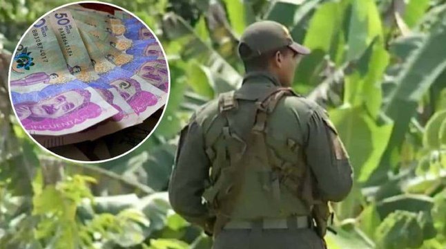 'Clan del Golfo' habría tenido incidencia en el paro del Bajo Cauca antioqueño