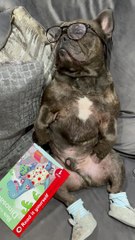 When You Nod Off Reading and Wake Up Not Knowing Where You Are