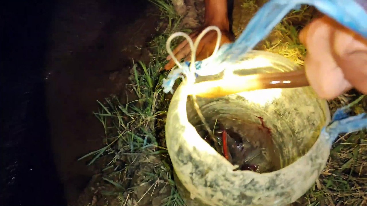 Fishing night