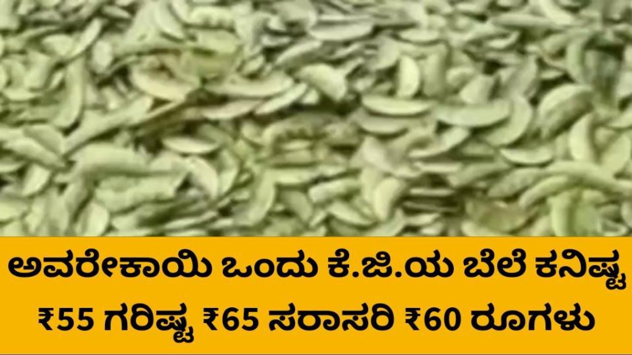 ಚಿಂತಾಮಣಿ: ಮಾರುಕಟ್ಟೆಯಲ್ಲಿ ಇಂದು ಅವರೆಕಾಯಿ ಬೆಲೆ ಏರಿಕೆ !