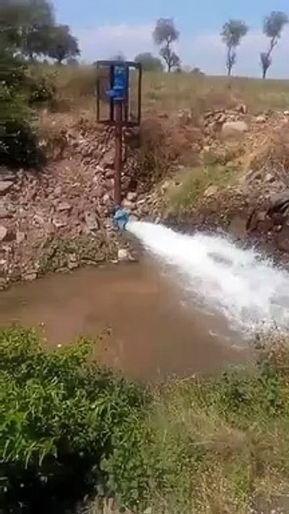 crops standing in the fields destroyed